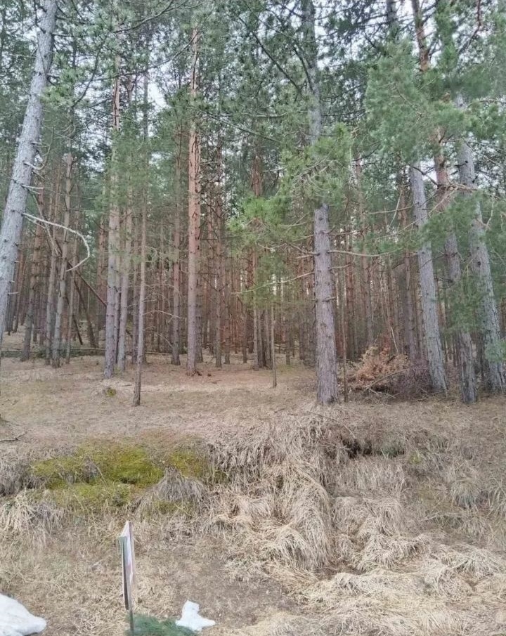 Plac na prodaju Zlatibor-Vodice
