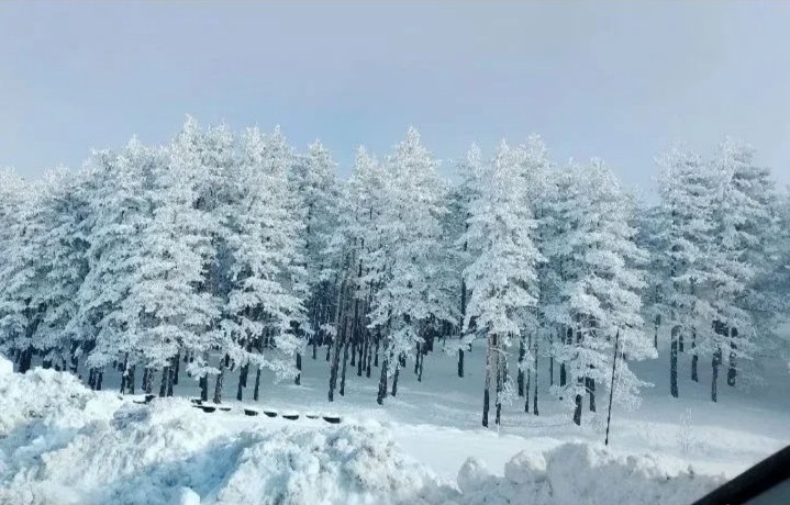 Plac na prodaju Zlatibor-Vodice