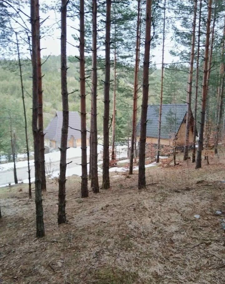 Plac na prodaju Zlatibor-Vodice