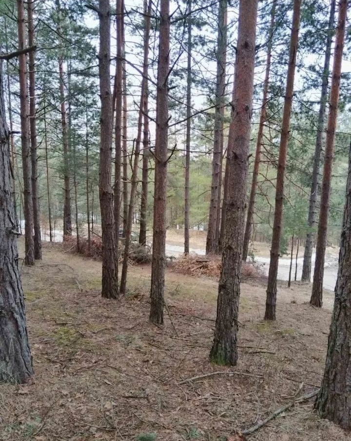 Plac na prodaju Zlatibor-Vodice