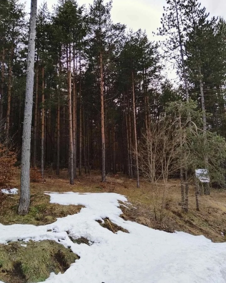 Plac na prodaju Zlatibor-Vodice