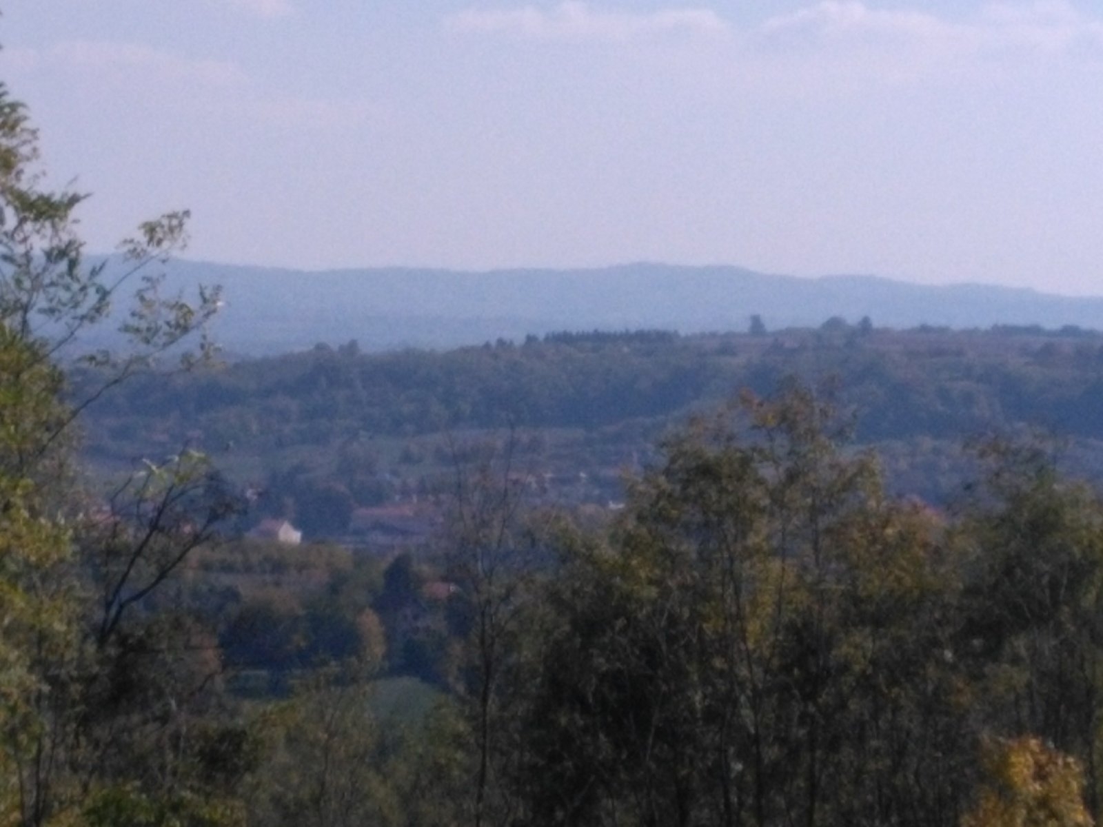 Na prodaju plac (suma) u Sopotu