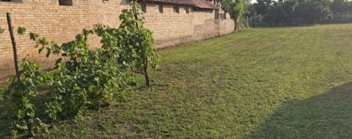 Kuca i plac u Žablju