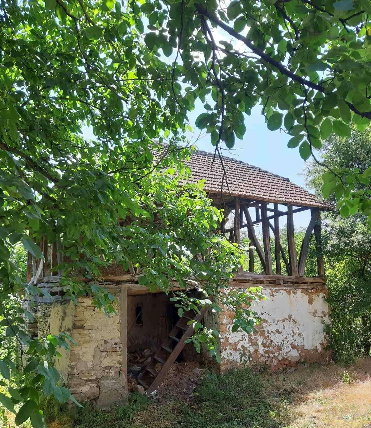 Boljevac-kuca sa okucnicom,1km od centra
