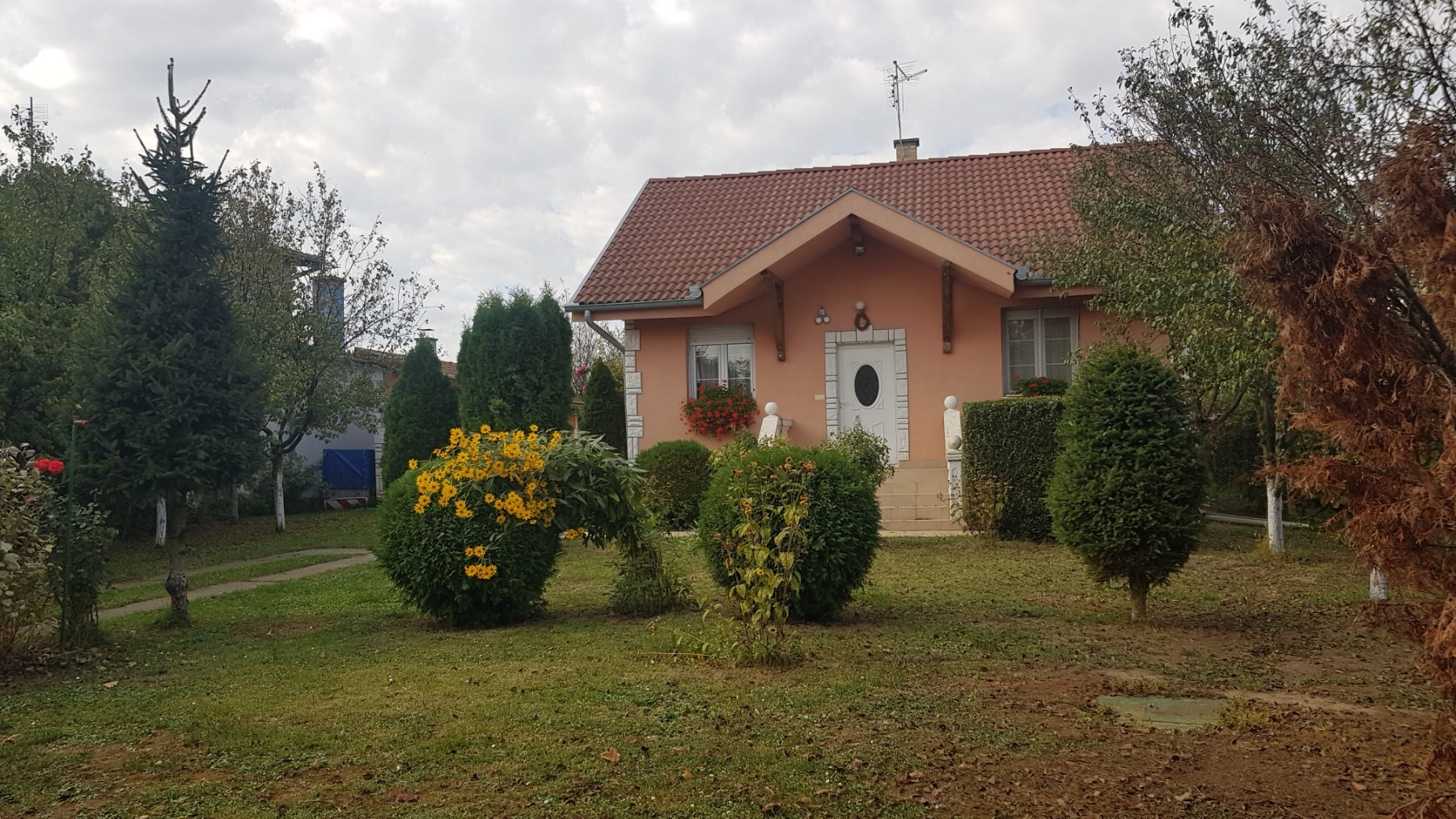 Prodajem kucu u Somboru