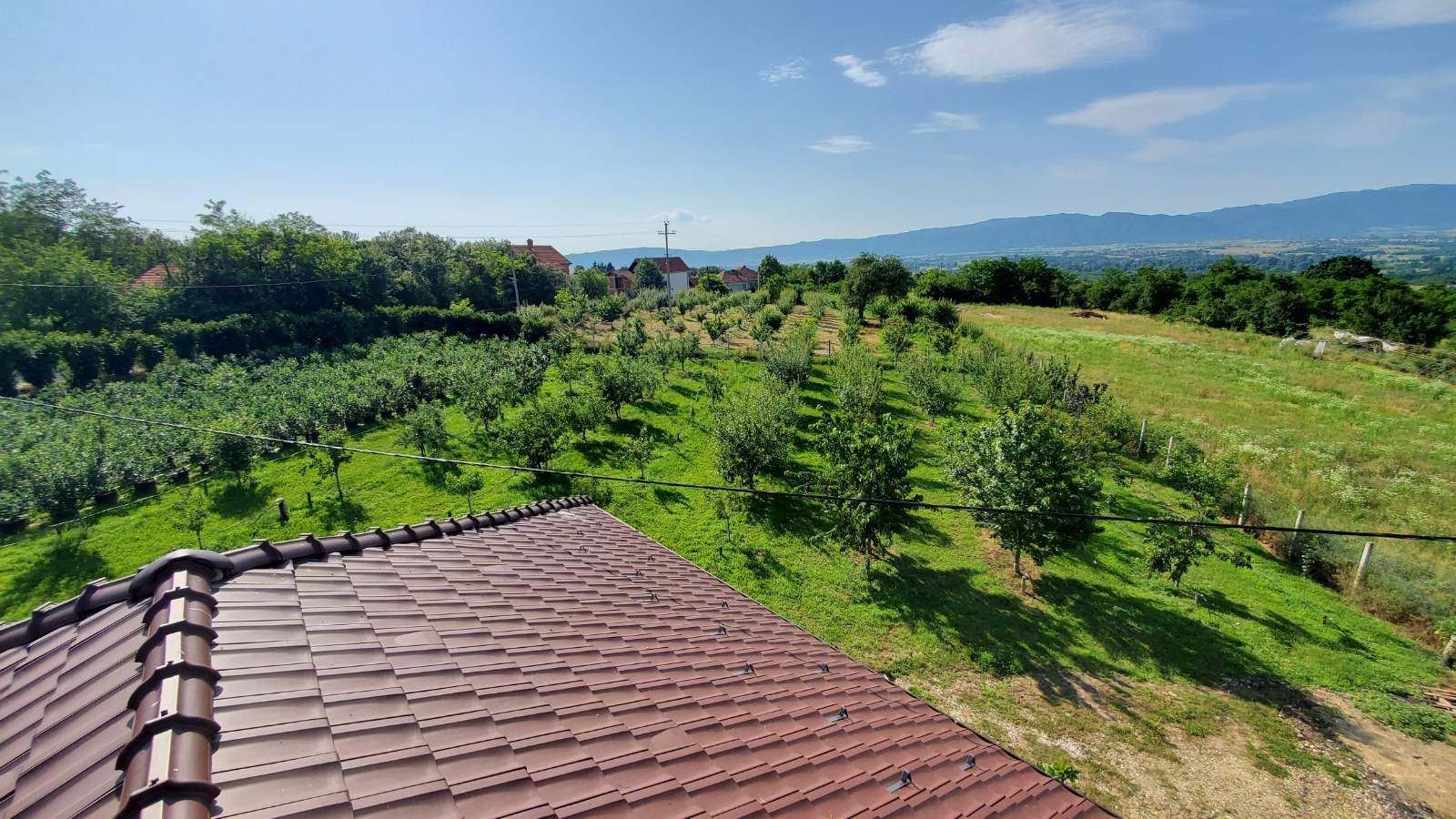 Prodajem kucu sa plantazom Žbevac-Bujanovac