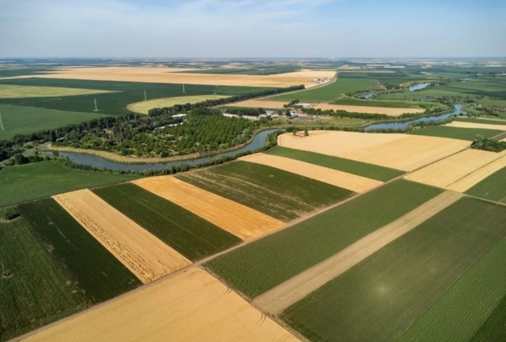 Prodajem salas u Srbobranu