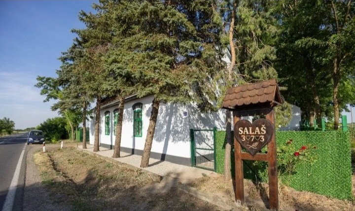 Prodajem salas u Srbobranu