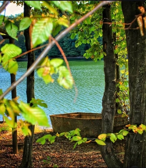 Luksuzna vikendica ili kuca za stalan boravak