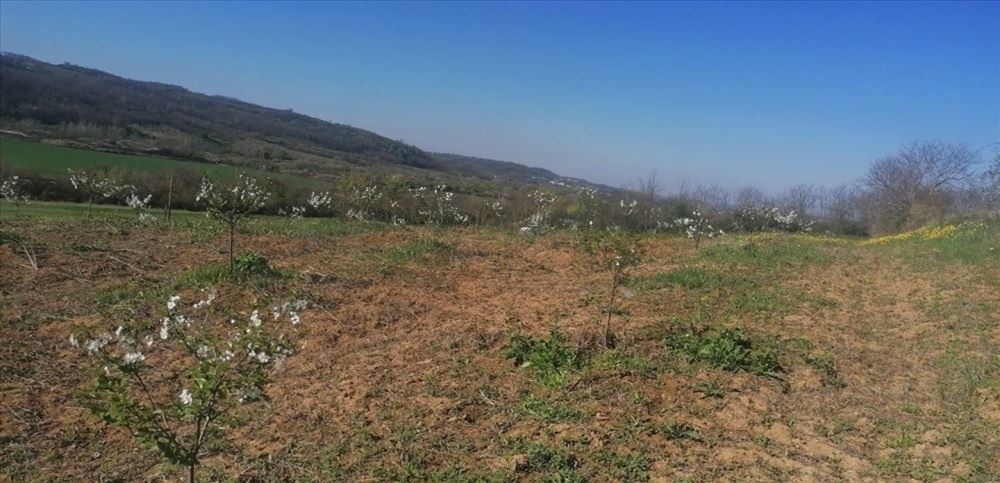 Plac 71 ar, Umčari-Grocka