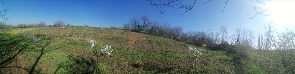 Plac 71 ar, Umčari-Grocka