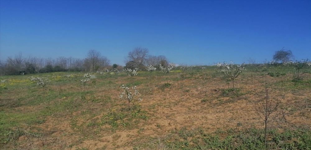 Plac 71 ar, Umčari-Grocka