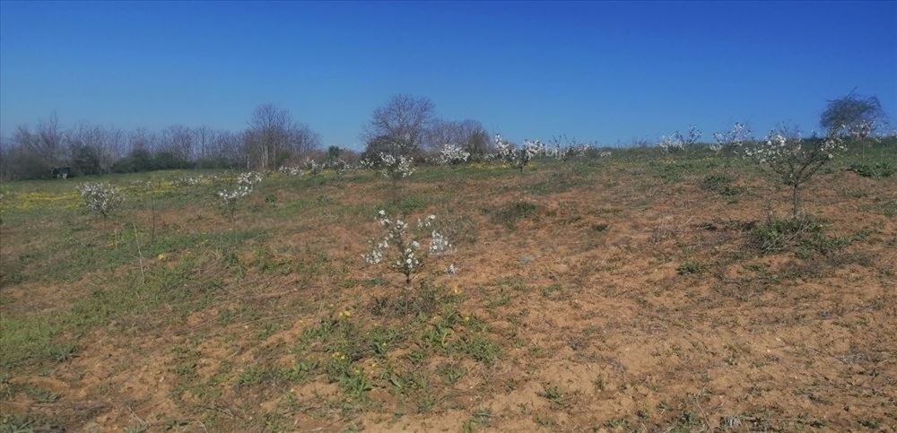 Plac 71 ar, Umčari-Grocka