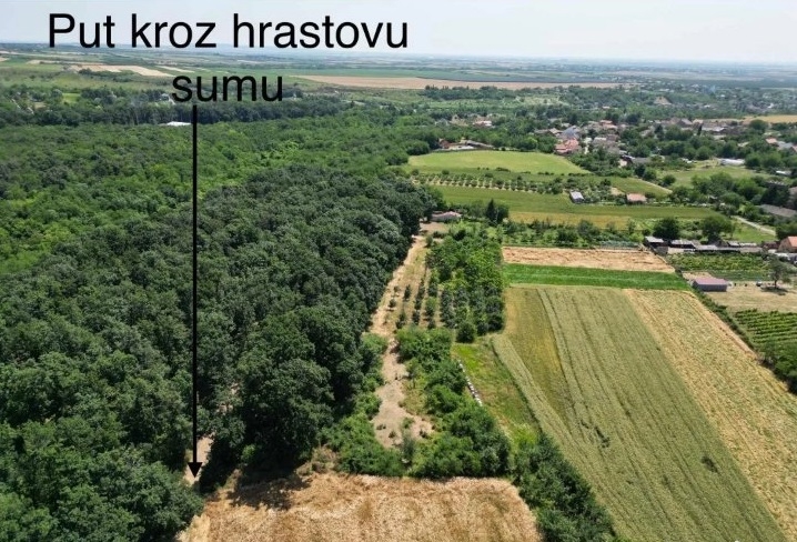 Prodajem zemljiste Krušedol-Irig