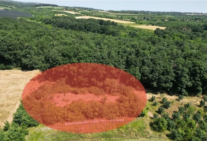 Prodajem zemljiste Krušedol-Irig