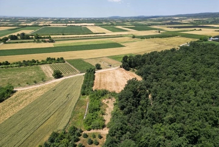 Prodajem zemljiste Krušedol-Irig