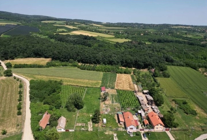 Prodajem zemljiste Krušedol-Irig