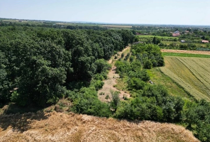 Prodajem zemljiste Krušedol-Irig