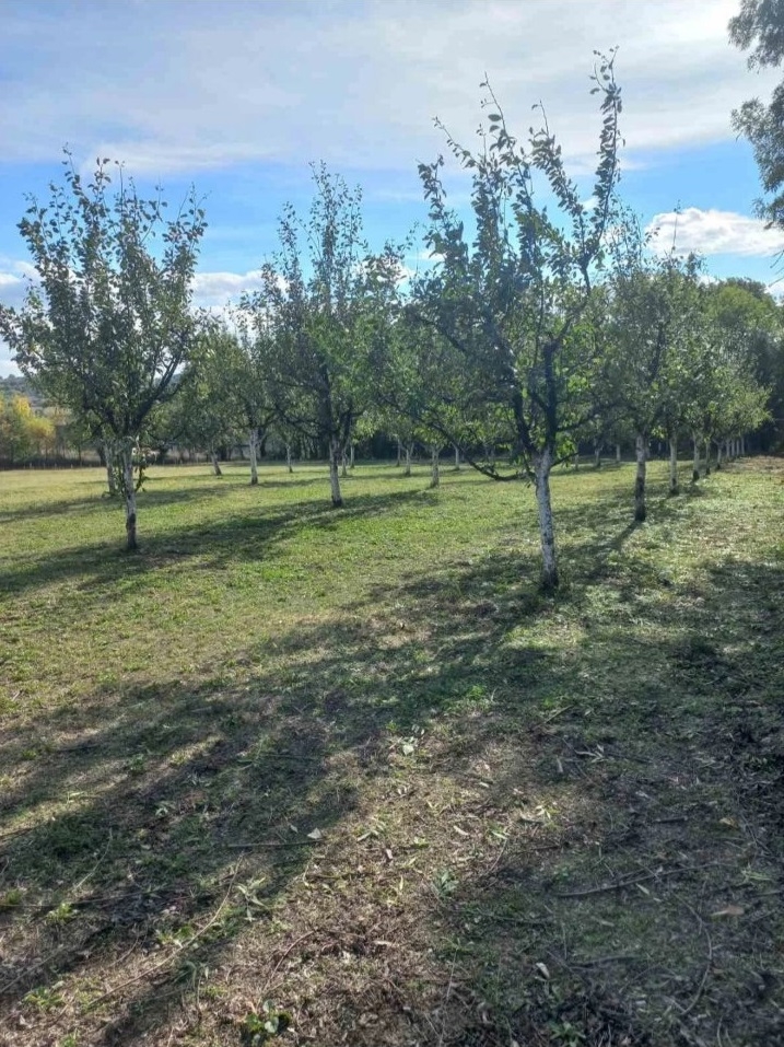 Plac u Sopotu sa pogledom na Kosmaj