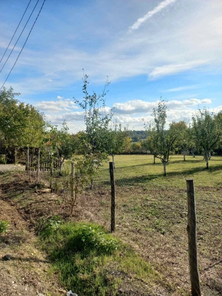 Plac u Sopotu sa pogledom na Kosmaj