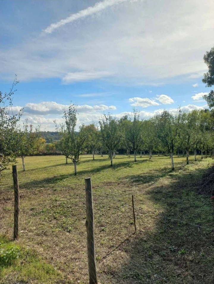 Plac u Sopotu sa pogledom na Kosmaj