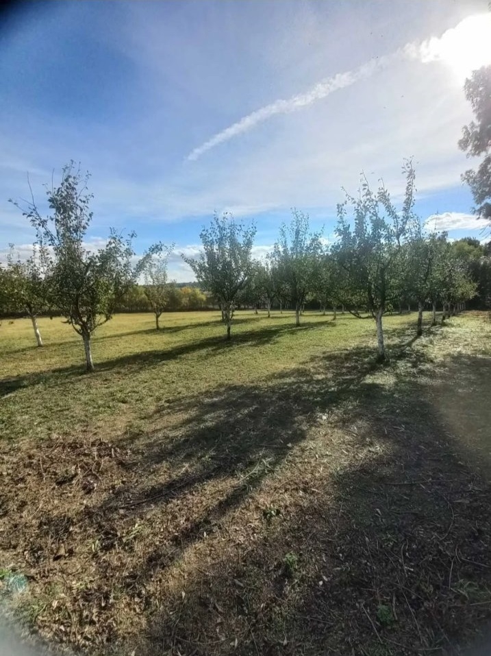 Plac u Sopotu sa pogledom na Kosmaj