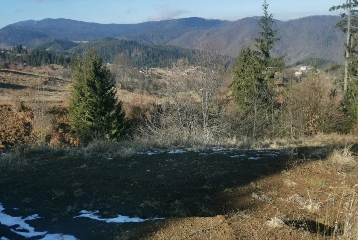 Zaovine/Vasiliči, 44ara