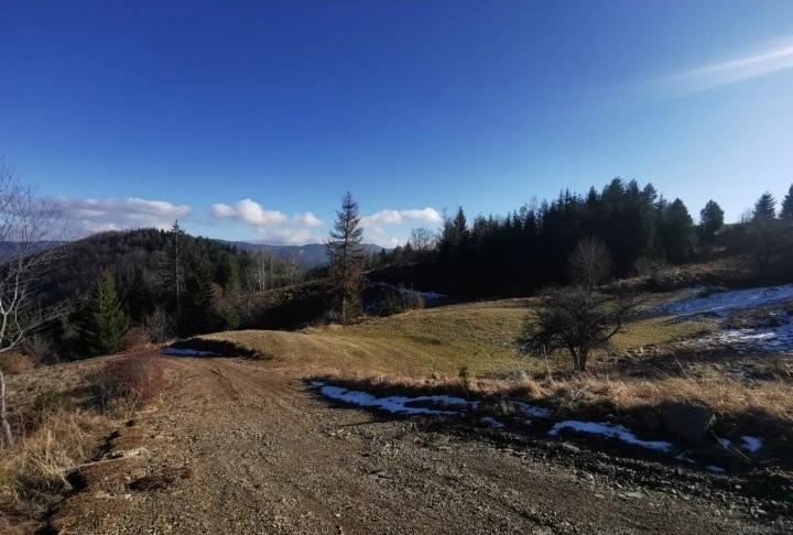 Zaovine/Vasiliči, 44ara