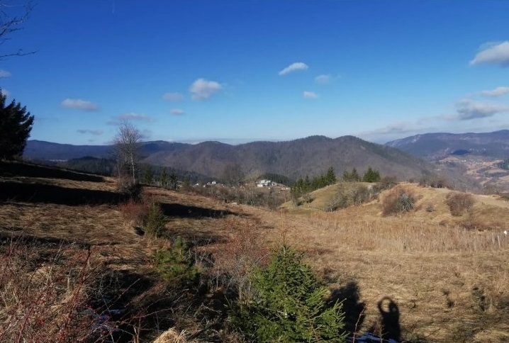 Zaovine/Vasiliči, 44ara