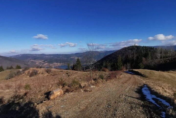 Zaovine/Vasiliči, 44ara