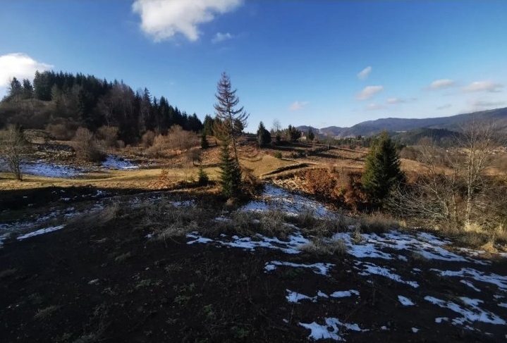 Zaovine/Vasiliči, 44ara