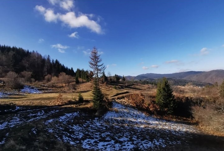 Zaovine/Vasiliči, 44ara