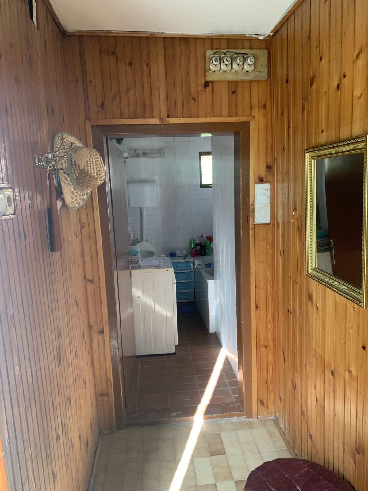 Prodajem kucu u Trbušnici-Lazarevac