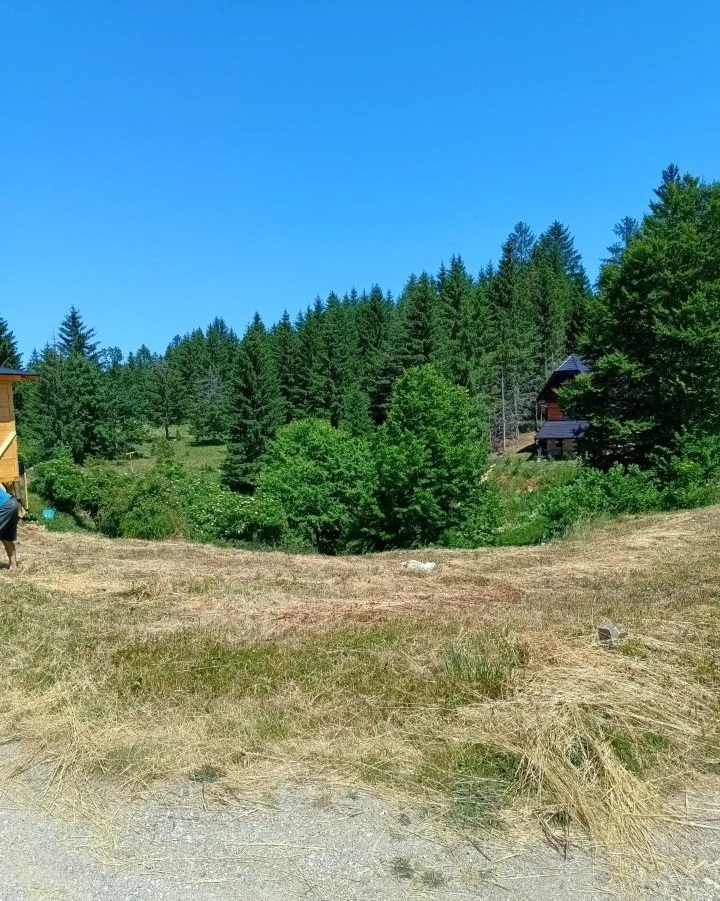 Plac na Tari-Osluša