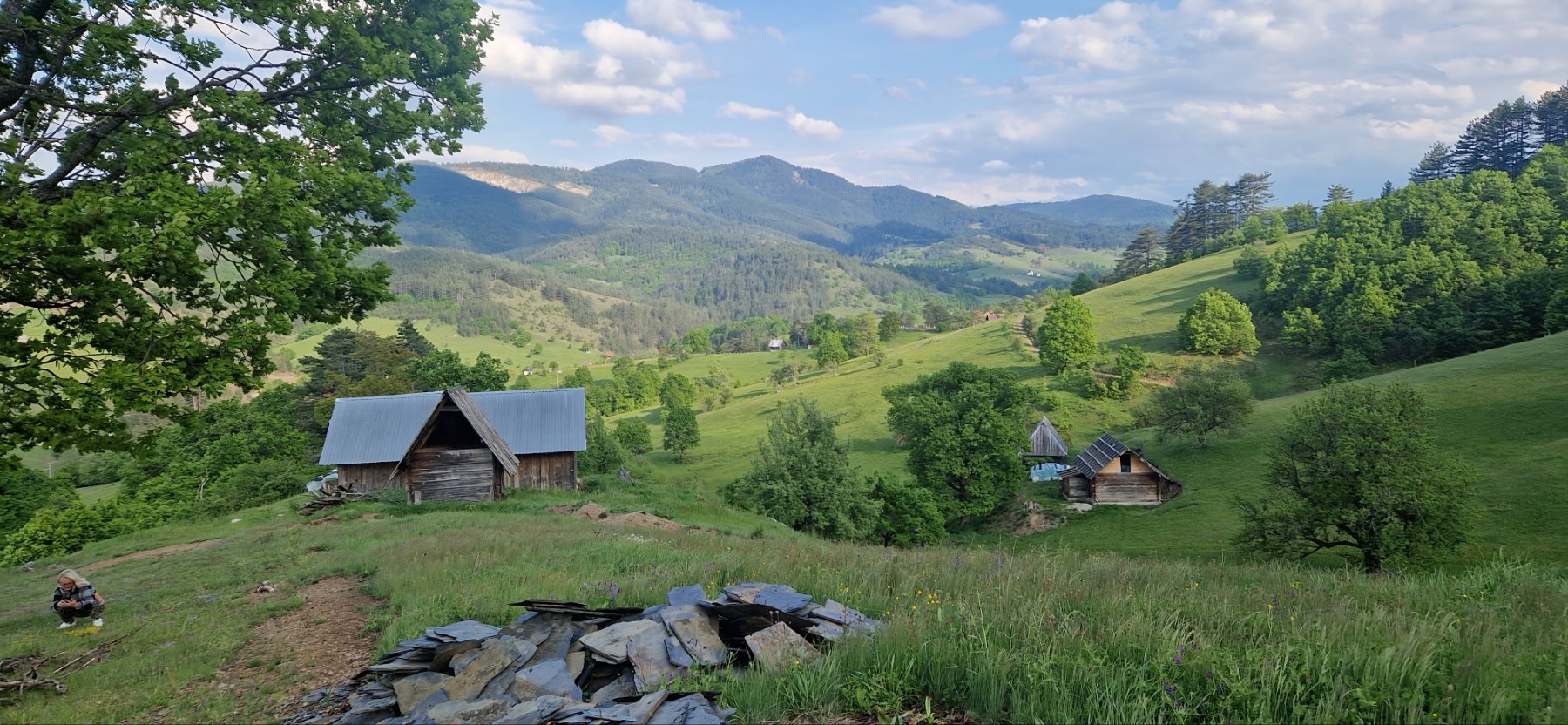Prodajem plac sa brvnarama na Zlatiboru