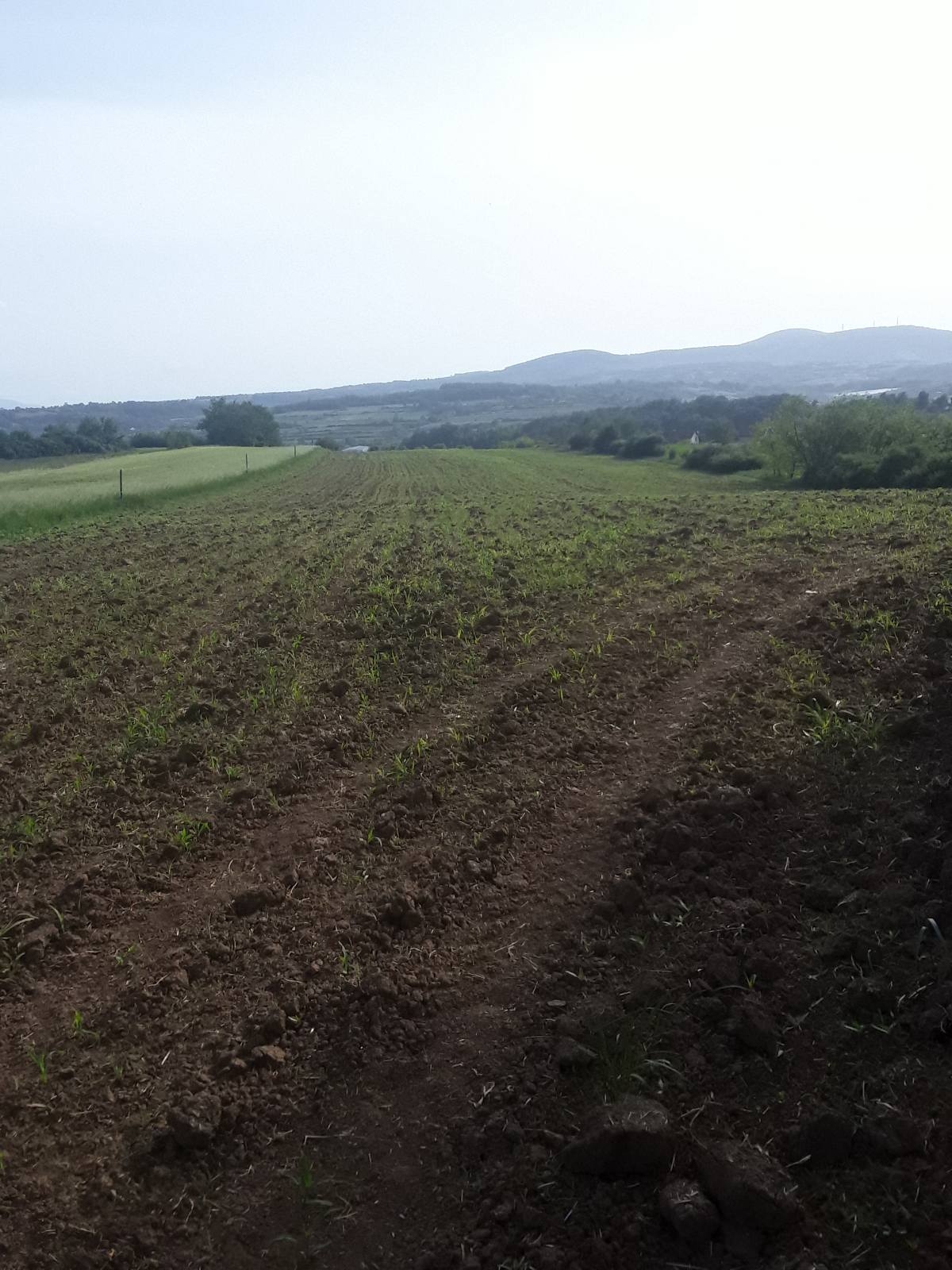 Placevi na prodaju Mladenovac-Vlaška