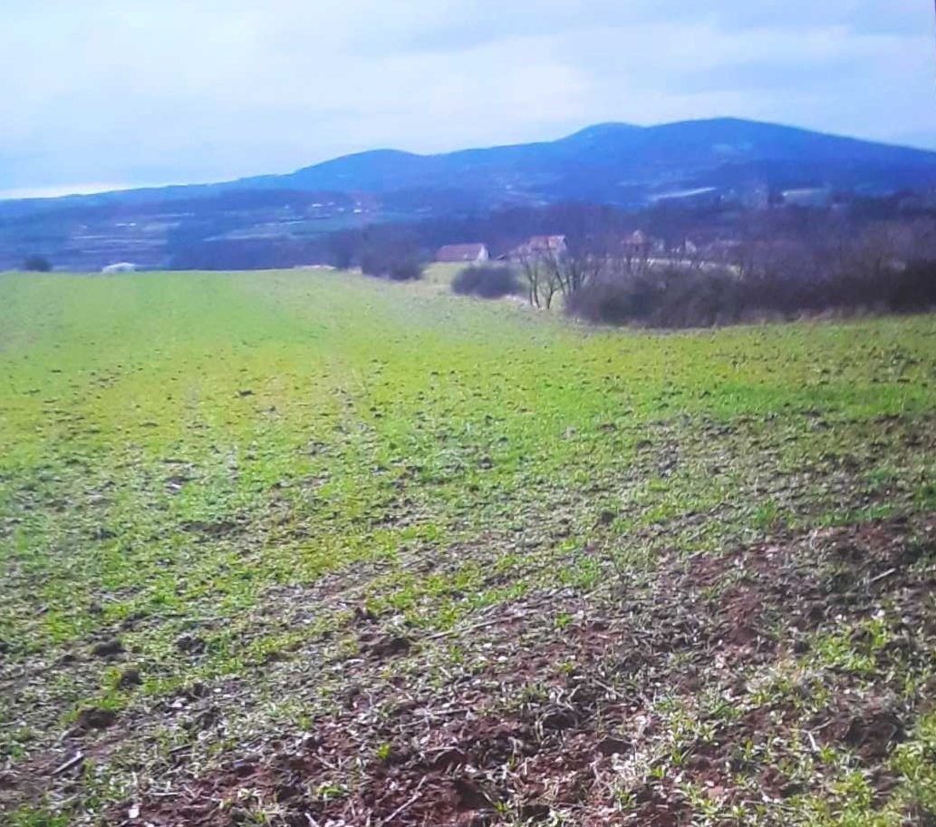 Placevi na prodaju Mladenovac-Vlaška