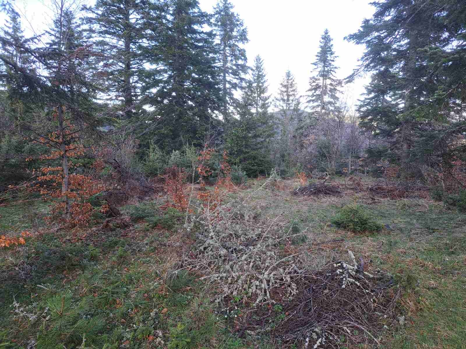 Plac Zlatibor selo Stublo