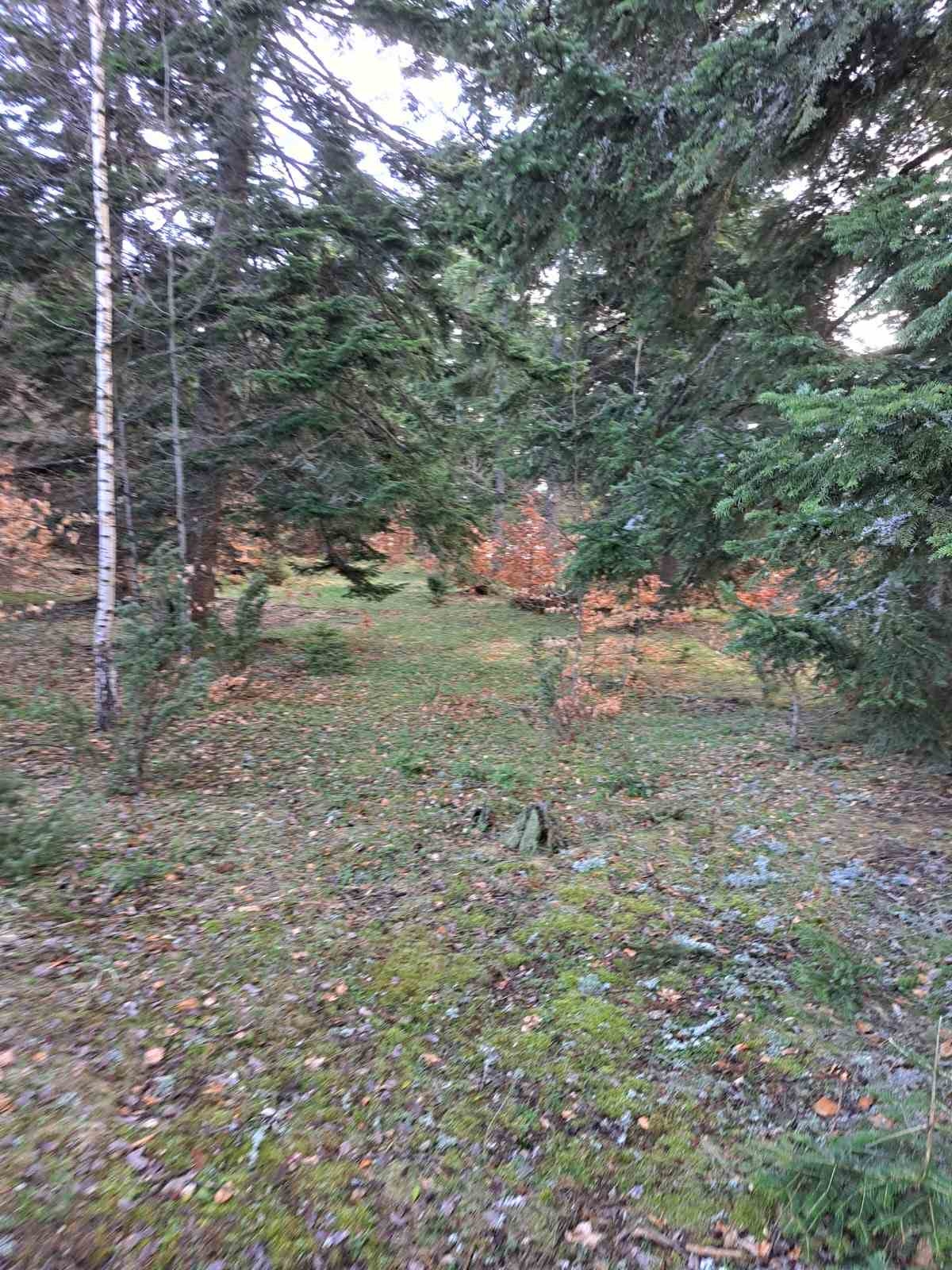 Plac Zlatibor selo Stublo