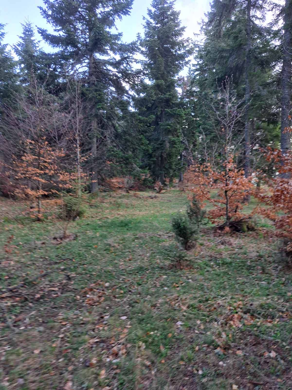 Plac Zlatibor selo Stublo