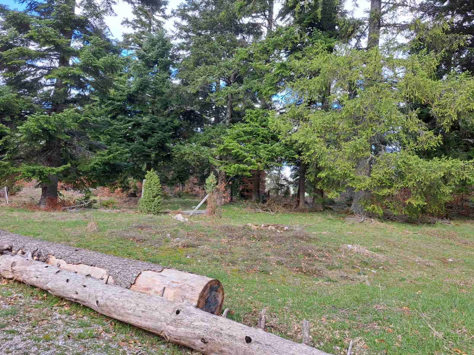 Plac Zlatibor selo Stublo