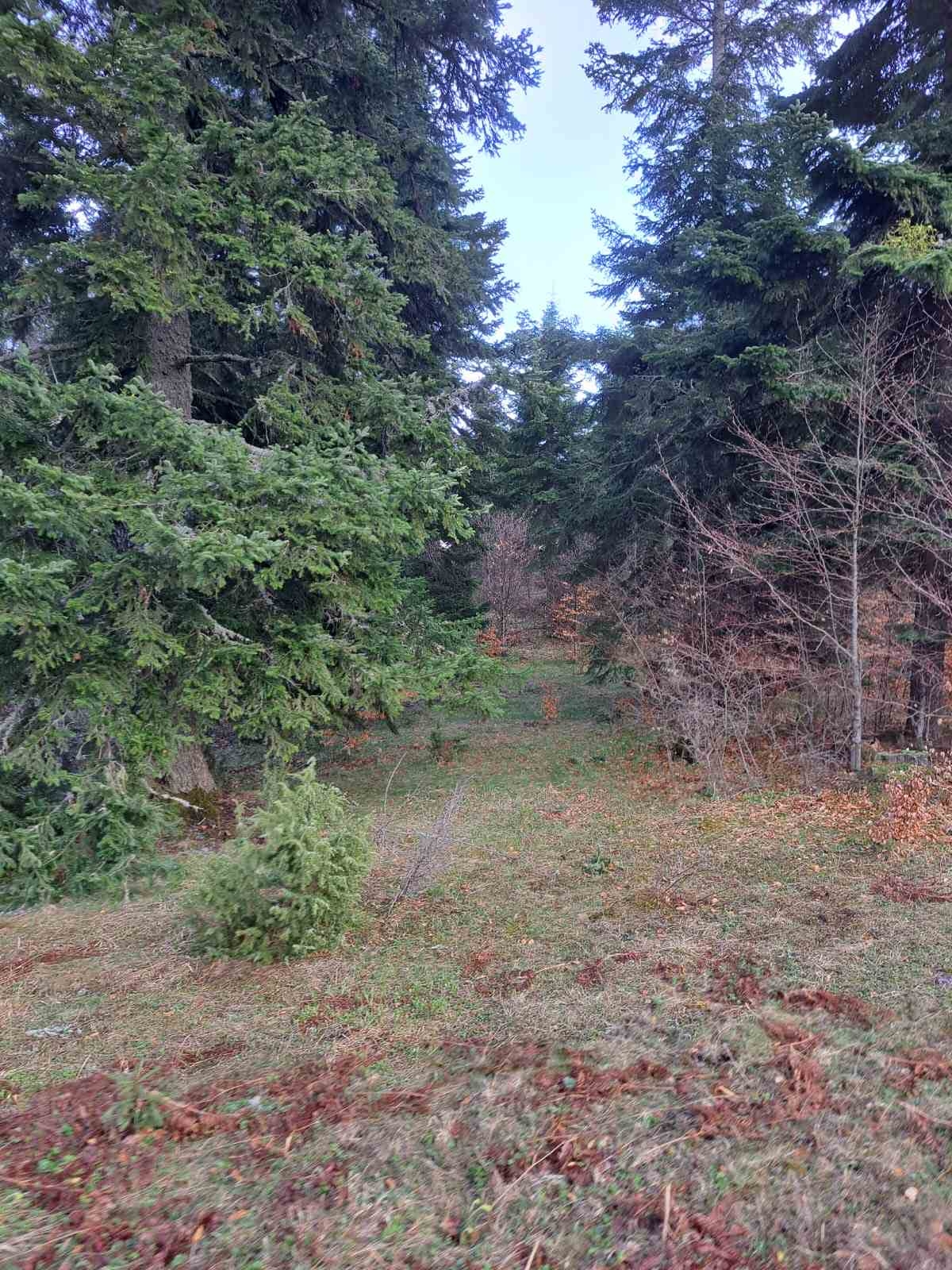 Plac Zlatibor selo Stublo