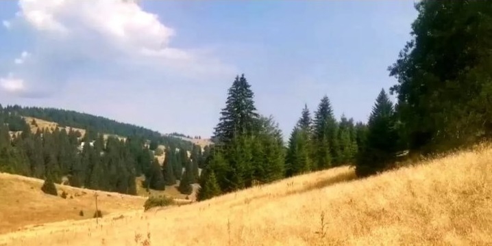 Placevi na Kopaoniku