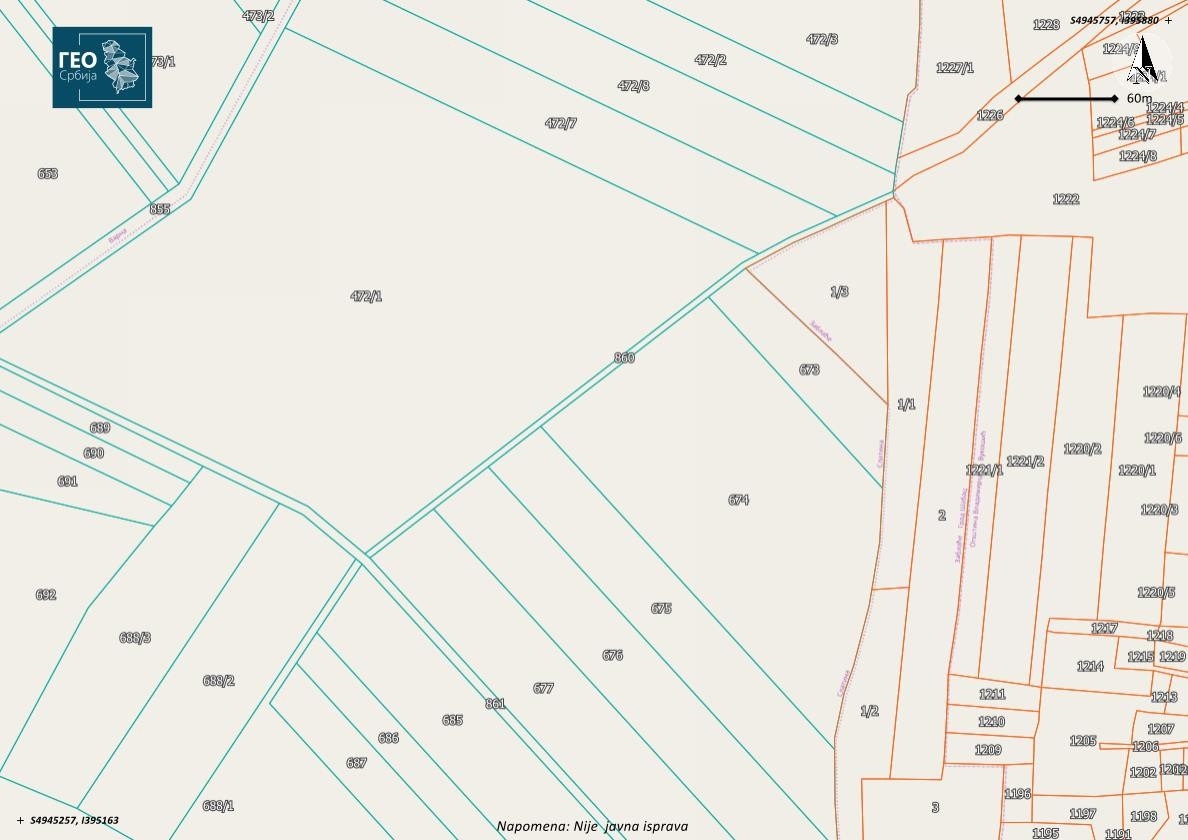 Prodajem zasad borovnice Šabac-Varna