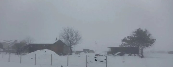 Plac sa kucom Beograd-Borca