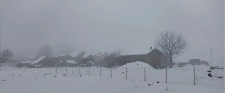 Plac sa kucom Beograd-Borca