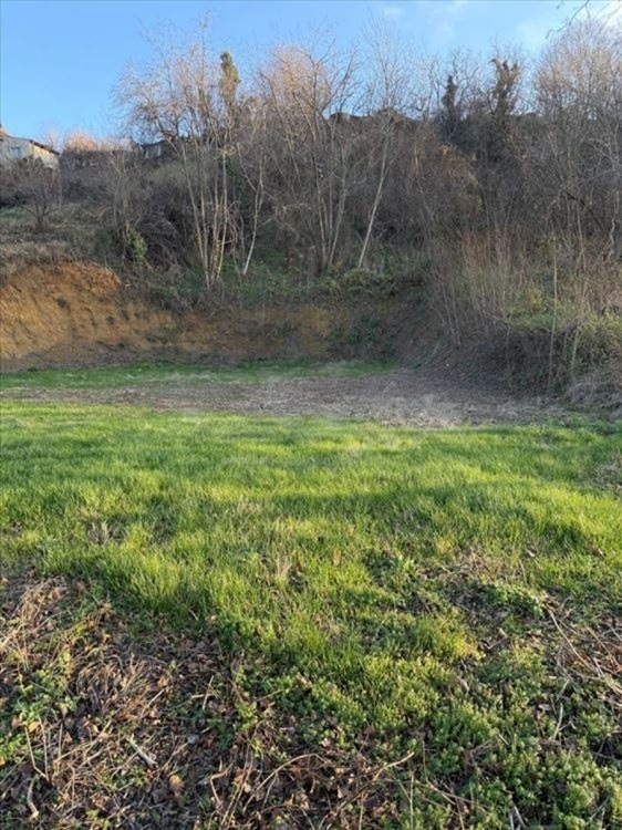 Prelep plac na Ribnjaku-Petrovaradin