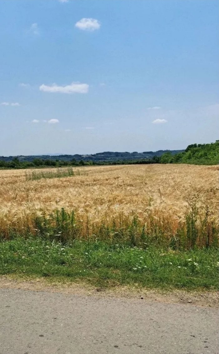 Njiva Barajevo-Veliki Borak