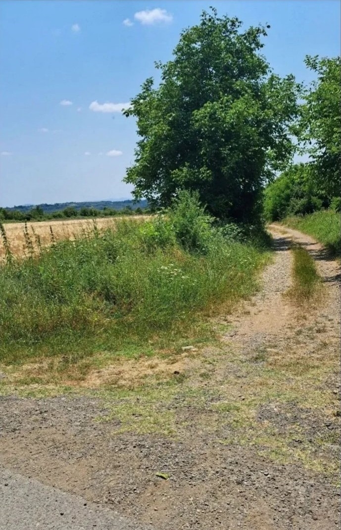 Njiva Barajevo-Veliki Borak