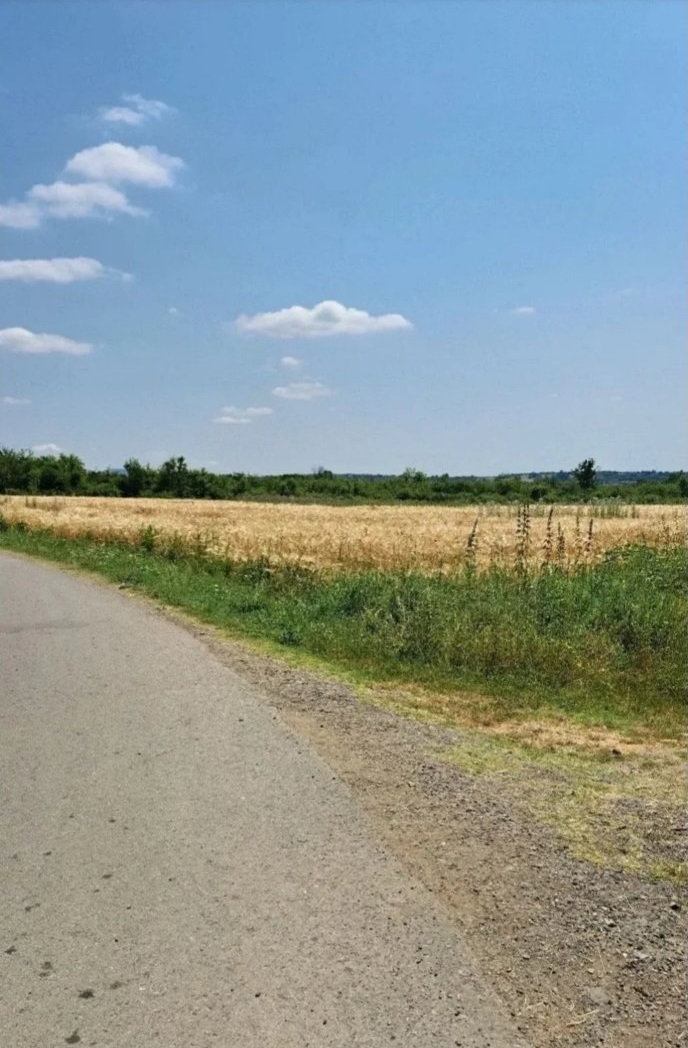 Njiva Barajevo-Veliki Borak